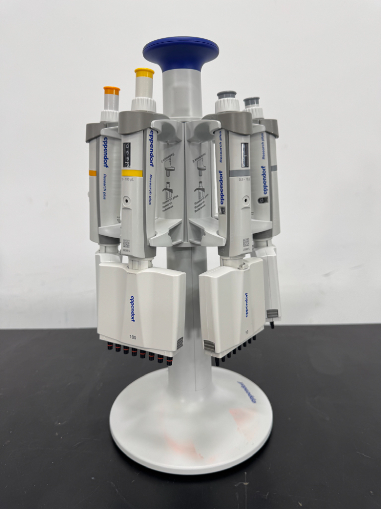 Image of Eppendorf Research Plus Multichannel Pipettes and Stand